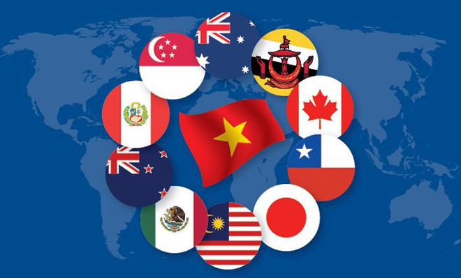 对专门实施CPTPP各项承诺的法律文件进行审查 ảnh 1 对专门实施CPTPP各项承诺的法律文件进行审查 ảnh 1