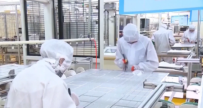 在越德国企业对今后12个月的复苏能力持有信心 ảnh 1 在越德国企业对今后12个月的复苏能力持有信心 ảnh 1