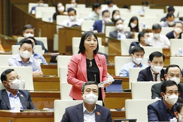 越南第十五届国会第二次会议新闻公报(第十六号) ảnh 3 越南第十五届国会第二次会议新闻公报(第十六号) ảnh 3