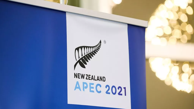 新冠肺炎疫情后亚太经合组织的使命 ảnh 1 新冠肺炎疫情后亚太经合组织的使命 ảnh 1