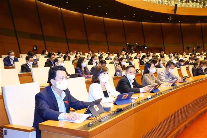 第十五届国会第二次会议：继续开展涉及劳动荣军社会、教育培训和计划投资三大领域的质询和回答质询活动 ảnh 2