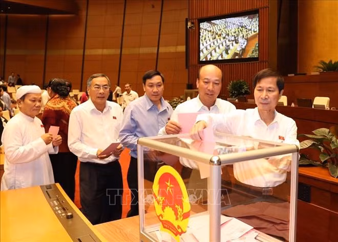 越南第十四届国会第八次会议通过三部法律 ảnh 1