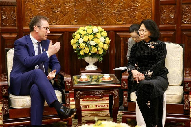 越南国家副主席会见爱尔兰全球风能与太阳能公司执行总裁 ảnh 1 越南国家副主席会见爱尔兰全球风能与太阳能公司执行总裁 ảnh 1