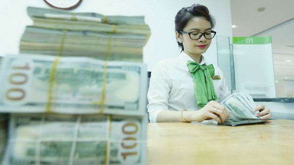 世行: 2019年越南侨汇收入达约167亿美元 ảnh 1 世行: 2019年越南侨汇收入达约167亿美元 ảnh 1