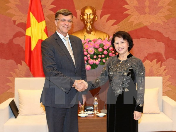 越南国会主席阮氏金银会见澳大利亚驻越大使 ảnh 1