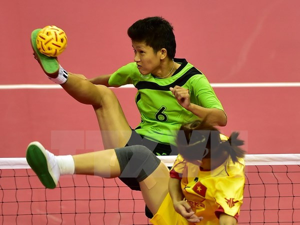2015年越南全国青年藤球锦标赛落下战幕 ảnh 1