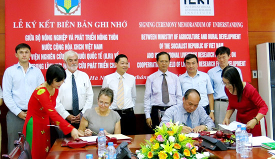 越南与国际畜牧研究所合作打造产业链加快畜牧业发展 ảnh 1 越南与国际畜牧研究所合作打造产业链加快畜牧业发展 ảnh 1