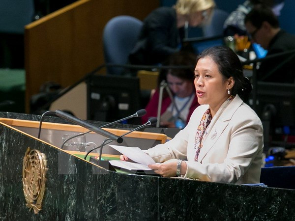 越南驻联合国大使阮芳娥:东盟与联合国携手应对安全挑战 ảnh 1 越南驻联合国大使阮芳娥:东盟与联合国携手应对安全挑战 ảnh 1