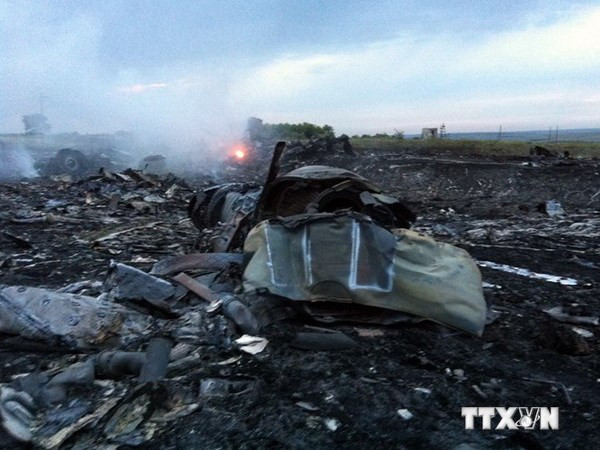 MH17失事现场发现疑似导弹碎片 ảnh 1