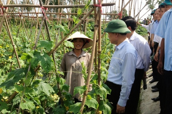 武文宁副总理:太平省应制定更为开放政策吸引投资商前来投资 ảnh 1 武文宁副总理:太平省应制定更为开放政策吸引投资商前来投资 ảnh 1