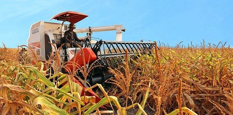 2015~2016财年老挝经济增长率可达7.7% ảnh 1