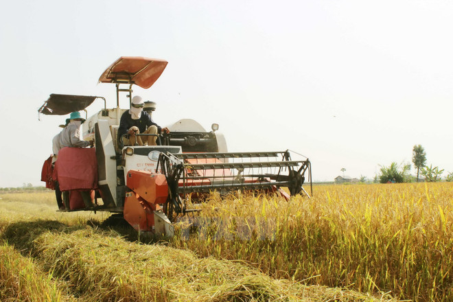 继续完善新农村建设相关机制和政策 ảnh 2 继续完善新农村建设相关机制和政策 ảnh 2
