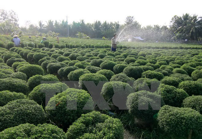 继续完善新农村建设相关机制和政策 ảnh 4 继续完善新农村建设相关机制和政策 ảnh 4