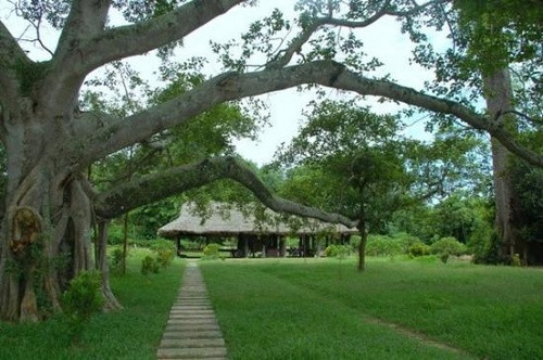 2016年初至今宣光省吸引游客1.5万人次 ảnh 1 2016年初至今宣光省吸引游客1.5万人次 ảnh 1