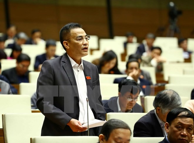 越南十三届国会第十一次会议：选民希望国会需更全面更好地进行革新 ảnh 1