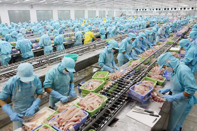 越南水产为重新赢得欧洲市场的信任做努力 ảnh 2