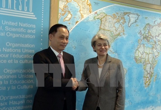 UNESCO总干事:越南是成功开展UNESCO各项活动的先行者和典范 ảnh 1 UNESCO总干事:越南是成功开展UNESCO各项活动的先行者和典范 ảnh 1