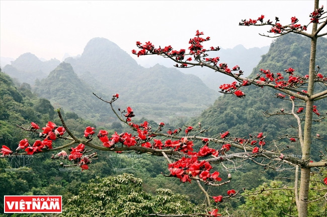 赶香寺庙会 ảnh 3