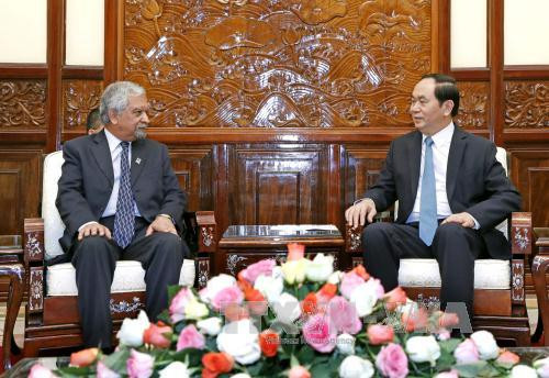 陈大光主席:越南一向主动积极参加联合国各项活动 ảnh 1 陈大光主席:越南一向主动积极参加联合国各项活动 ảnh 1