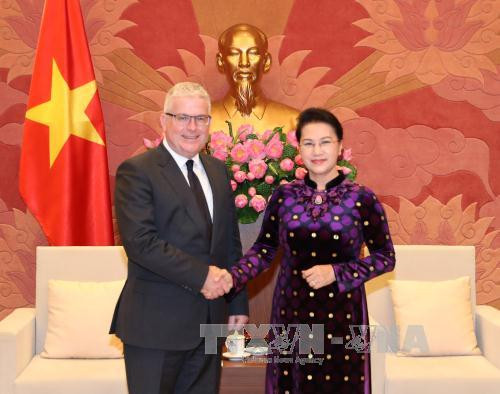 国会主席阮氏金银分别会见澳大利亚和新西兰驻越大使 ảnh 1 国会主席阮氏金银分别会见澳大利亚和新西兰驻越大使 ảnh 1