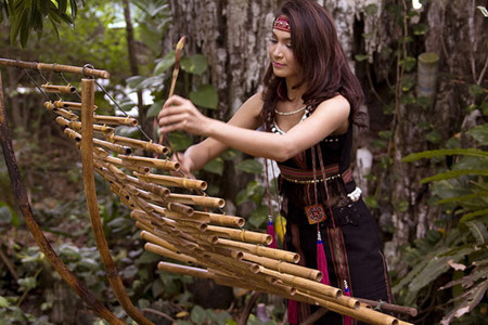 西原地区各族同胞的传统乐器——特龙琴 ảnh 1 西原地区各族同胞的传统乐器——特龙琴 ảnh 1