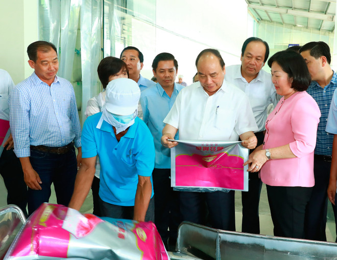 阮春福总理：朔庄省应集中扩大具有优势的高产水稻和果树种类种植面积 ảnh 3