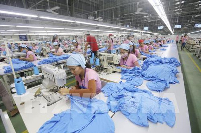 解决市场难题 提高出口商品附加值 增强市场竞争力 ảnh 2