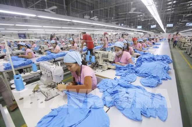 解决市场难题 提高出口商品附加值 增强市场竞争力 ảnh 2