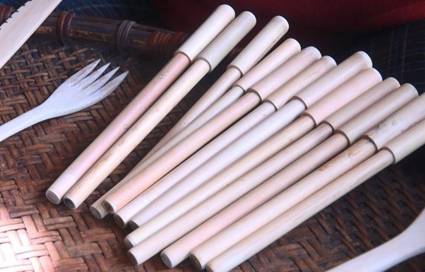 对塑料吸管说“不”：携手营造一个“绿色”的越南 ảnh 1