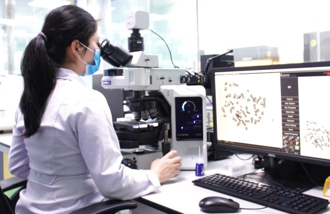 越南产前筛查和新生儿疾病筛查:建立广泛的筛查服务网络体系 提升服务质量 ảnh 2 越南产前筛查和新生儿疾病筛查:建立广泛的筛查服务网络体系 提升服务质量 ảnh 2