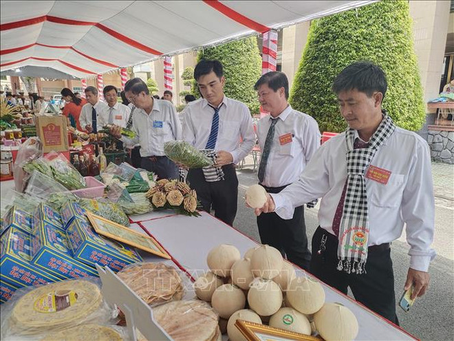 槟椥省农民走向现代生产 ảnh 2 槟椥省农民走向现代生产 ảnh 2