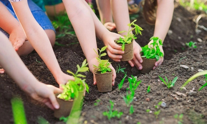 越南全民植树造林 助力越南建设绿色家园 ảnh 1 越南全民植树造林 助力越南建设绿色家园 ảnh 1