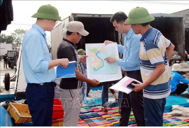 解除“黄牌”警告:南定省对出入港渔船进行严格管控 ảnh 1 解除“黄牌”警告:南定省对出入港渔船进行严格管控 ảnh 1