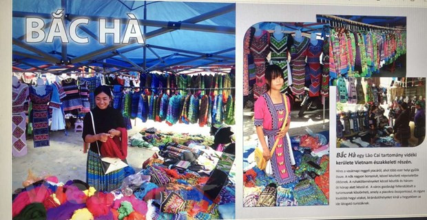 越通社简讯2021.2.14 ảnh 1 越通社简讯2021.2.14 ảnh 1