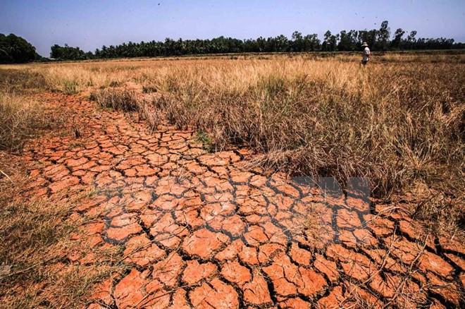 自然灾害给越南多地造成巨大损失 ảnh 1 自然灾害给越南多地造成巨大损失 ảnh 1