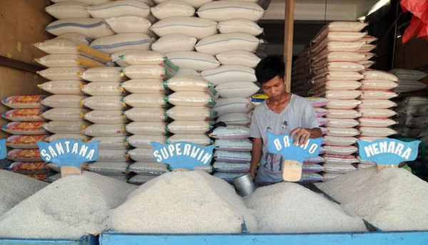 印尼力争对10个国家出口大米 ảnh 1