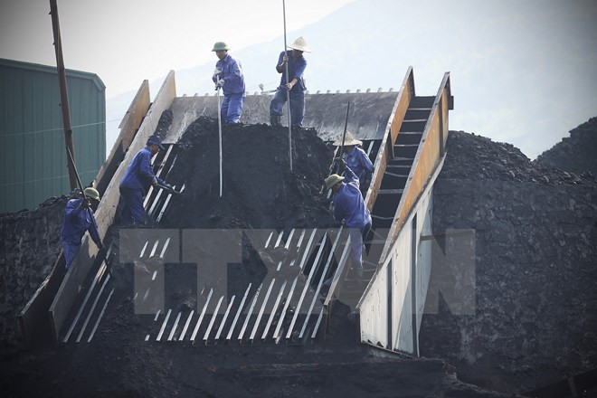 第一季度煤炭进口量同比增长300% ảnh 1