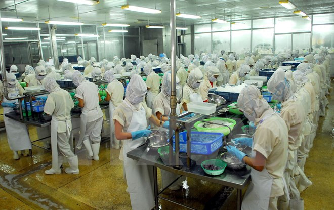 跨太平洋伙伴关系协定》指南手册首次在越南问世 ảnh 1