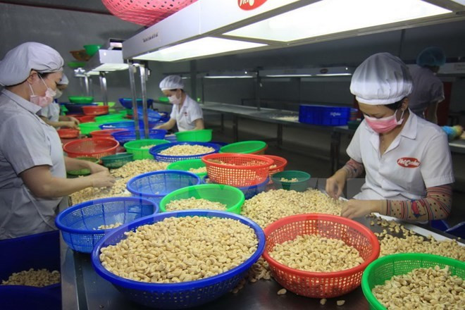 世贸:越南进出口额增长令人印象深刻 ảnh 1 世贸:越南进出口额增长令人印象深刻 ảnh 1