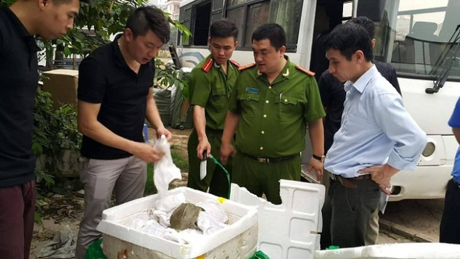 河内市职能力量查获大量走私中国商品 ảnh 1 河内市职能力量查获大量走私中国商品 ảnh 1