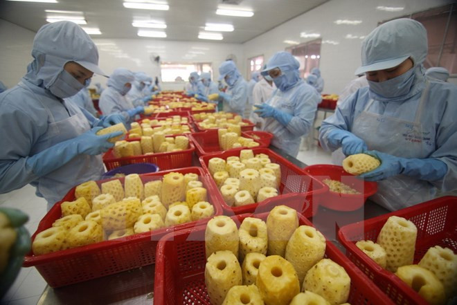 世贸组织高度评价越南在推进贸易发展中所取得的成绩 ảnh 1 世贸组织高度评价越南在推进贸易发展中所取得的成绩 ảnh 1
