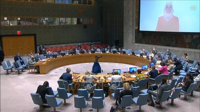 越南与联合国安理会：越南提议优先向叙利亚人民提供人道主义援助 ảnh 1