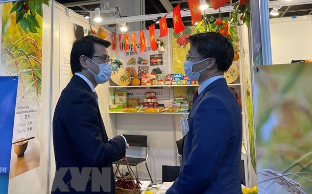 后疫情时期越南与中国香港合作潜力巨大 ảnh 1 后疫情时期越南与中国香港合作潜力巨大 ảnh 1