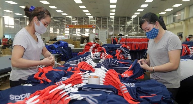 越南按照《越欧自贸协定》规定成立国内咨询组 ảnh 1 越南按照《越欧自贸协定》规定成立国内咨询组 ảnh 1