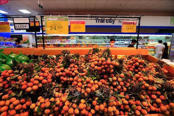 新冠肺炎疫情:提议为农产品通关和出口活动提供便利 ảnh 1 新冠肺炎疫情:提议为农产品通关和出口活动提供便利 ảnh 1