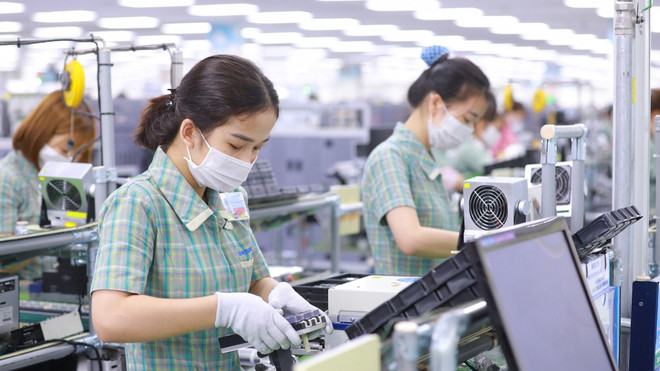 2021年前七个月越南与阿联酋进出口额同比增长37.8% ảnh 1