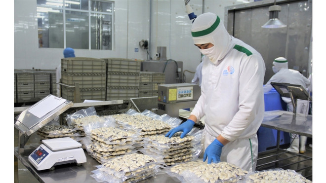 国内原料供应充足 软体动物出口大幅增加 ảnh 1 国内原料供应充足 软体动物出口大幅增加 ảnh 1