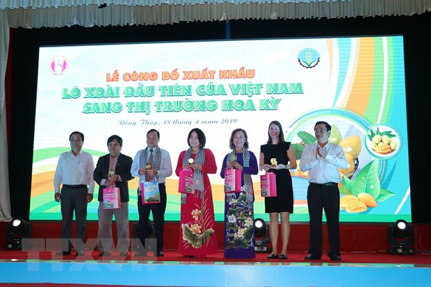 越南首批芒果出口到美国市场 ảnh 2 越南首批芒果出口到美国市场 ảnh 2