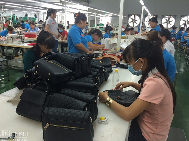 CPTPP：越南进军加拿大市场机会巨大 ảnh 2