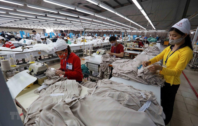 制定合理的计划和路线图 应对CPTPP带来的挑战 ảnh 1 制定合理的计划和路线图 应对CPTPP带来的挑战 ảnh 1